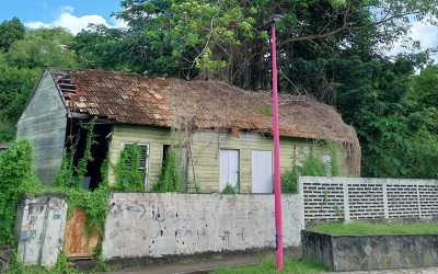 La dératisation dans les maisons anciennes de Martinique : un défi